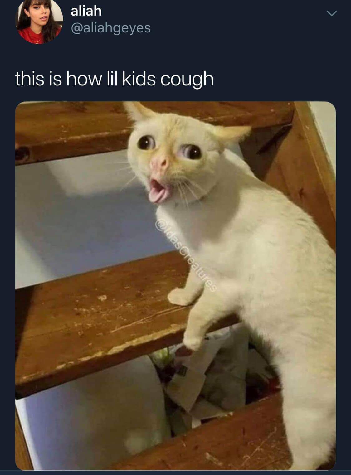 this is how lil kids cough.