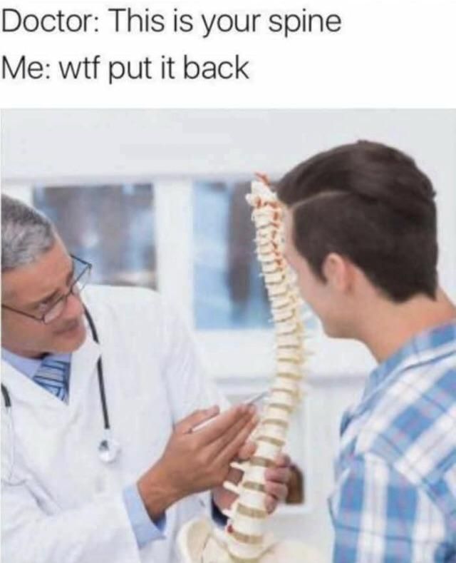 Doctor: this is your spine