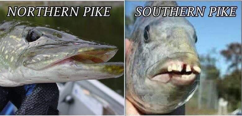 Fishing across the U.S.A.