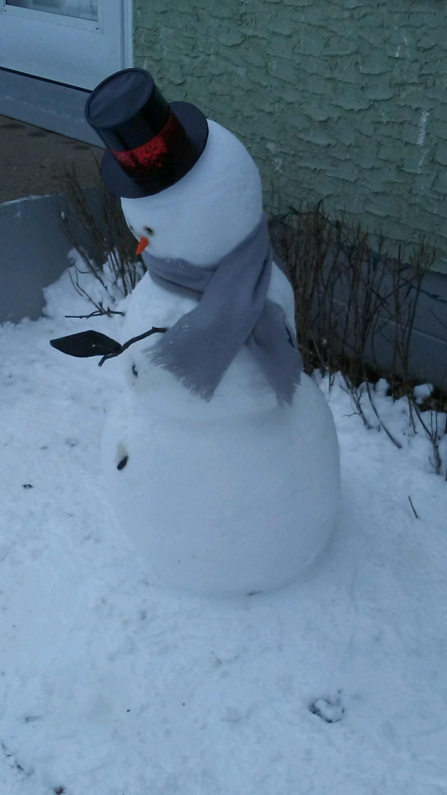 My dad calls this “2018 Snowman”