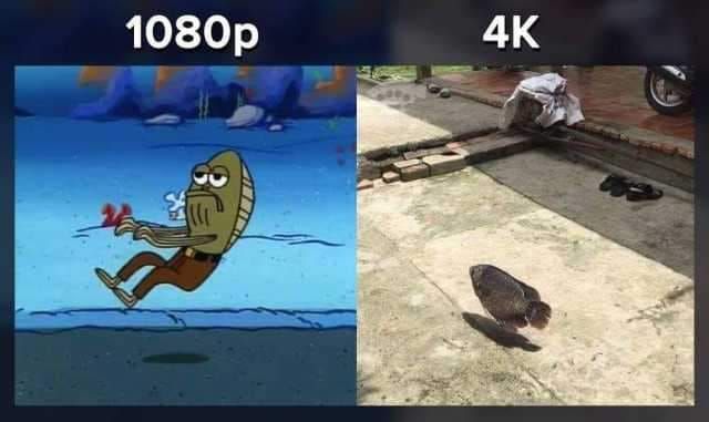 I should get a new monitor