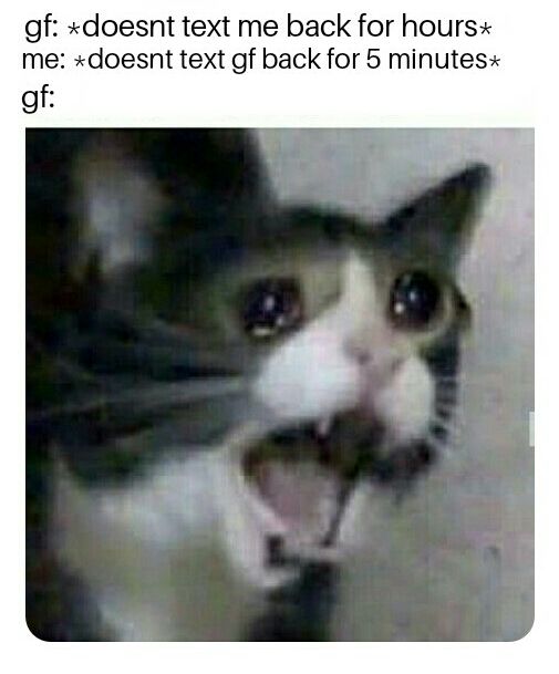 where's the lie