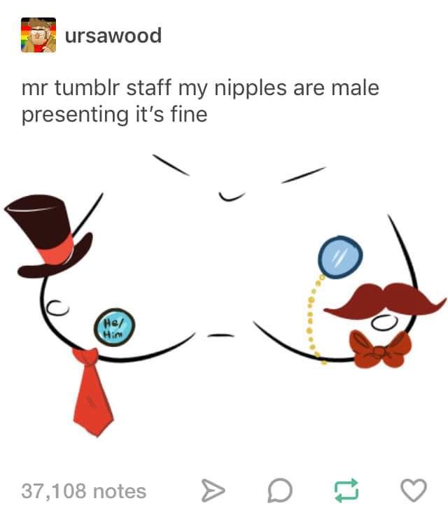 Oke Admins the One n word is Bad but what is with a Gentleman Nippel