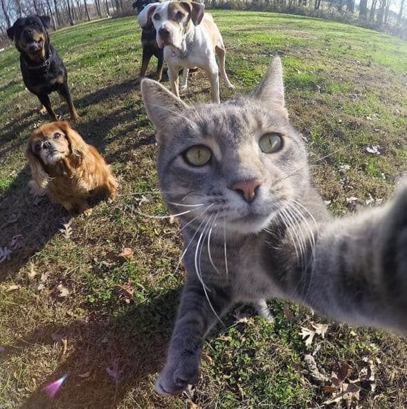 The greatest selfie of all time.