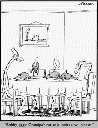 Far Side never seems dated.