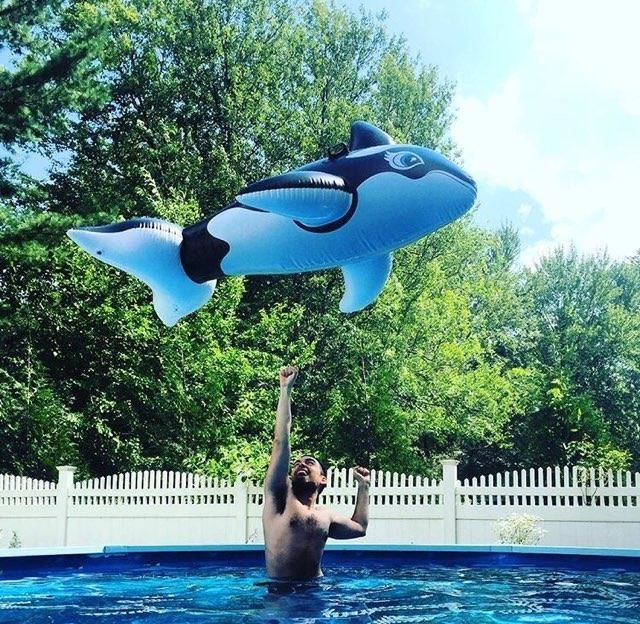 "Free Willy" on a budget