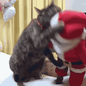 Santa Ninja Cat
