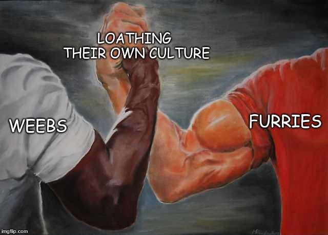 weebs and furries must set aside their differences to destroy other weebs and furries (oc)