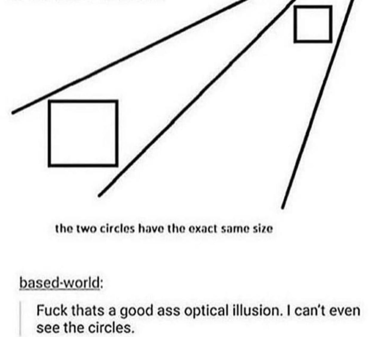 Best optical illusion