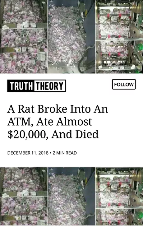 Rat died in style !