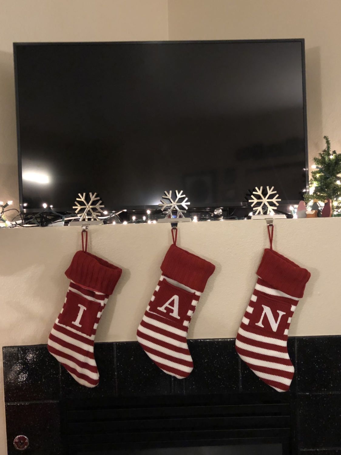 My husband Ian insisted that our new puppy Nala get her own stocking. I thought it was sweet until I realized he had ulterior motives..