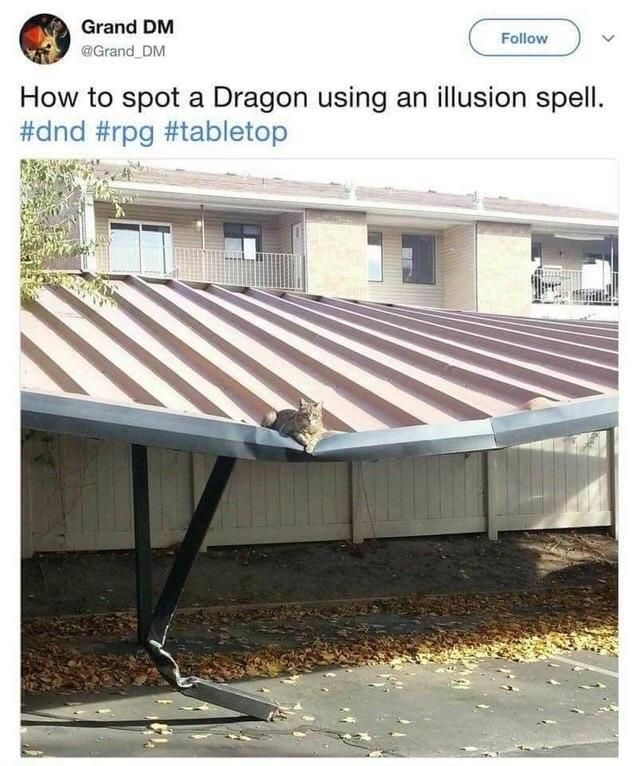 The dragon is compromised
