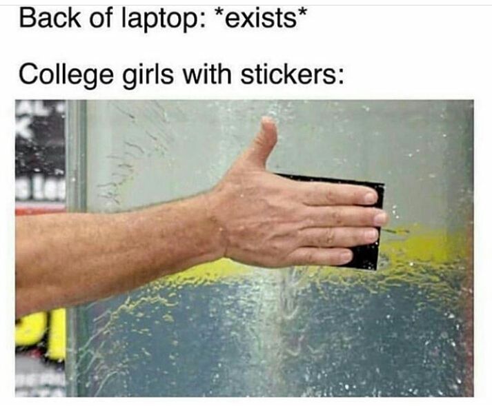 i once saw a girl with an apple logo sticker on an hp laptop. illusion 100