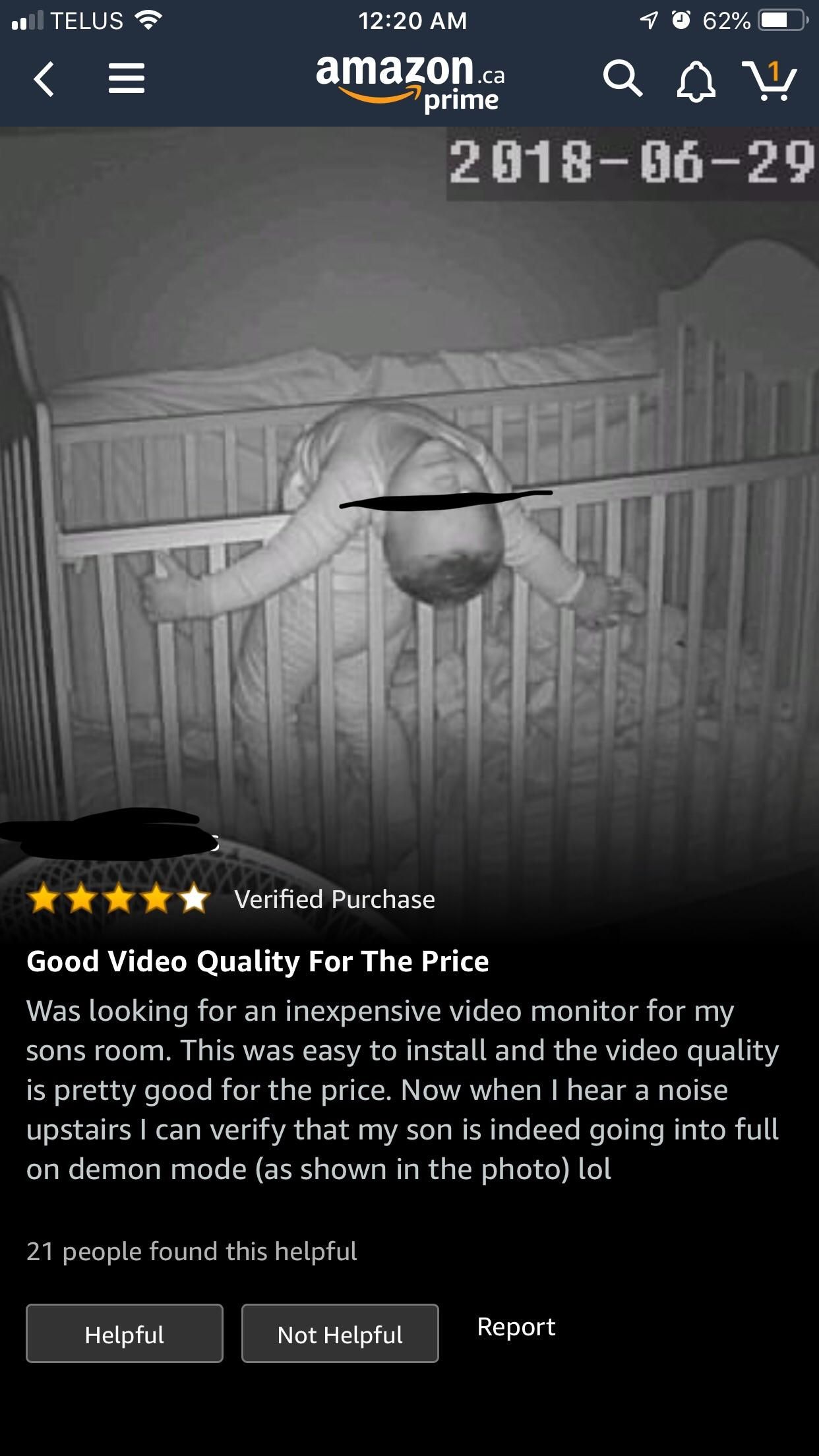 Found this gem of a review while looking for pet cams