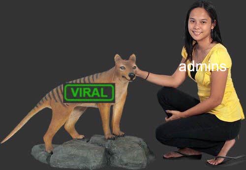 Make Viral Extinct