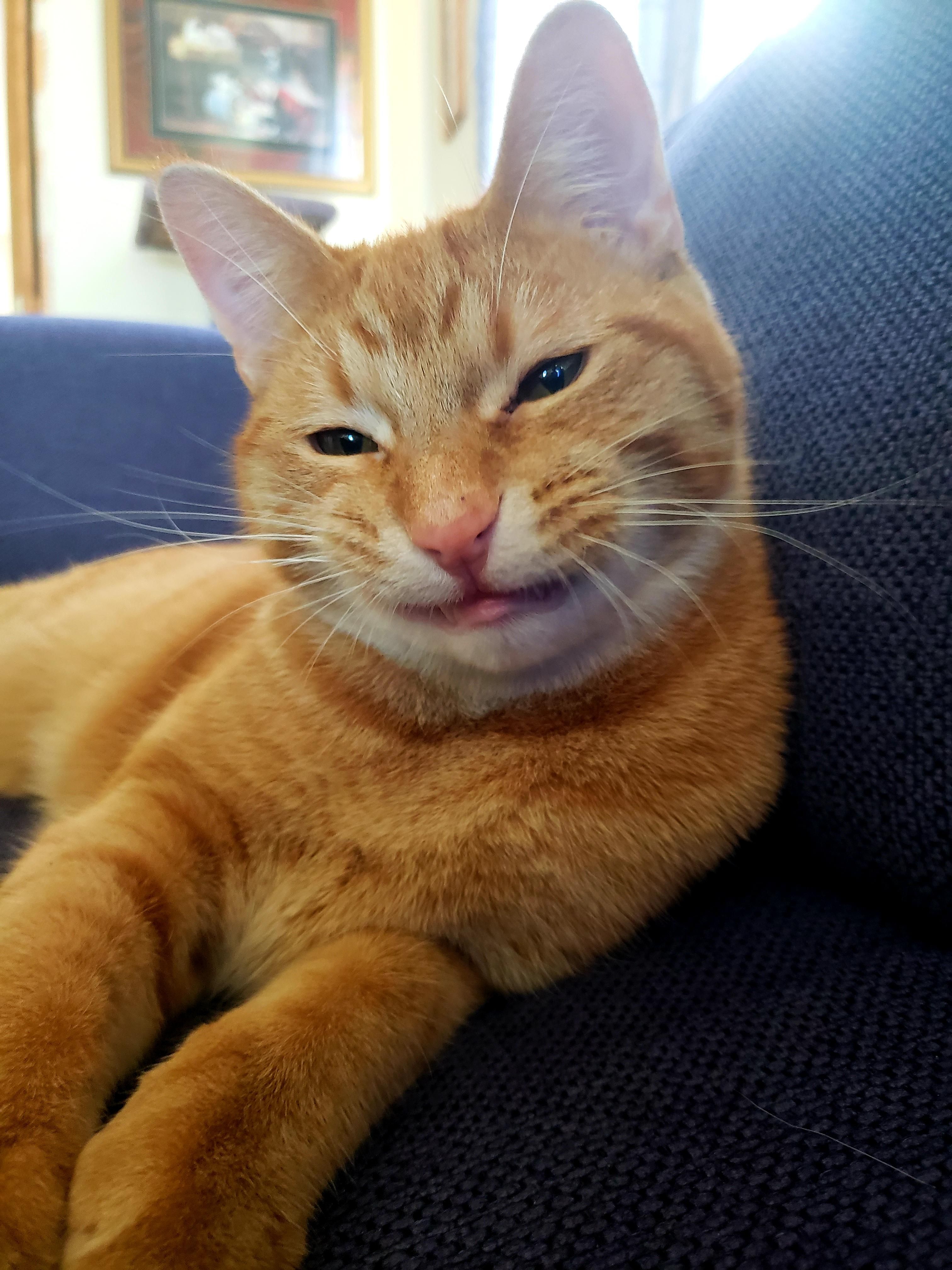 Winston says " cheese!"