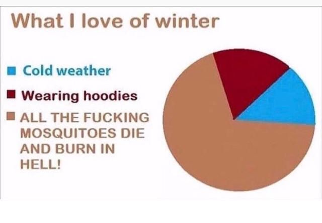 Winter is the best