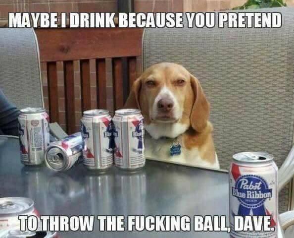 Way to go, Dave