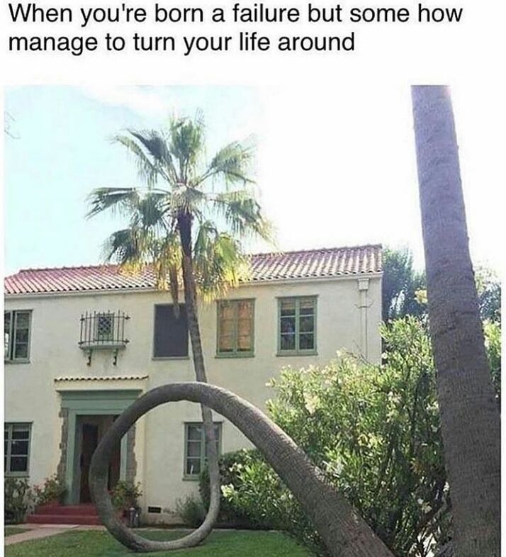 ayy