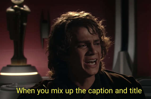 What have I done?