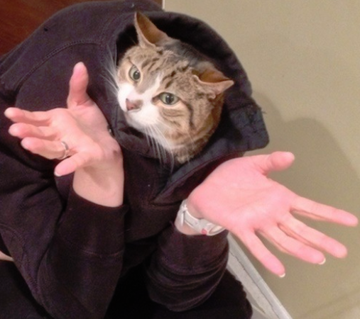 When the human wonders who dug up all the plants