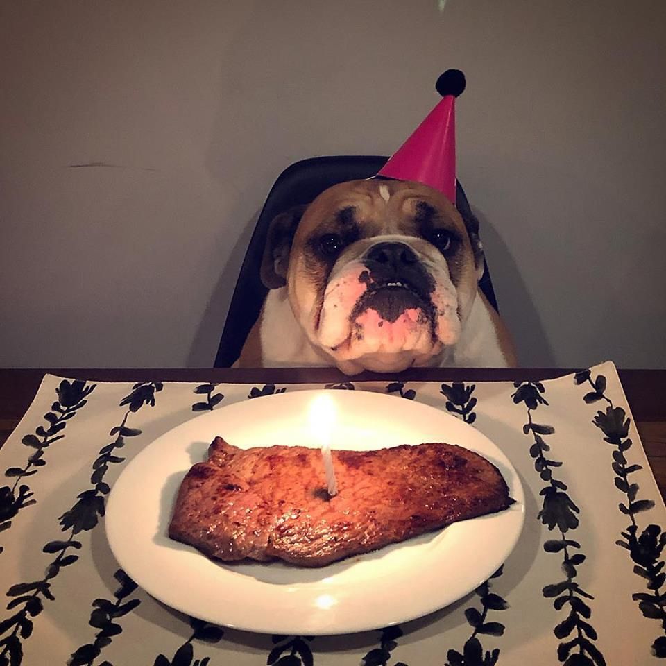 It was my doggo's 4th birthday...
