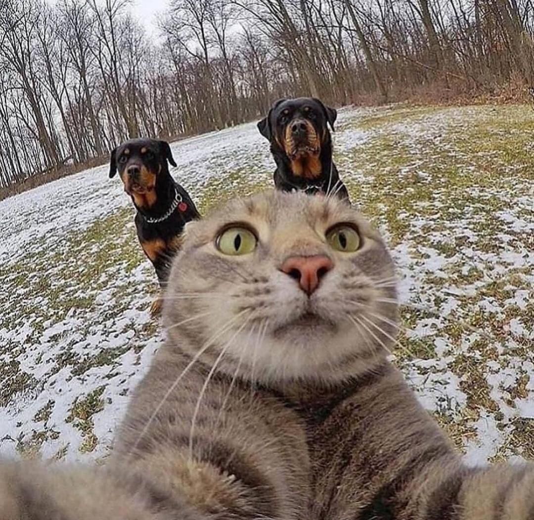 They're right behind me, aren't they?