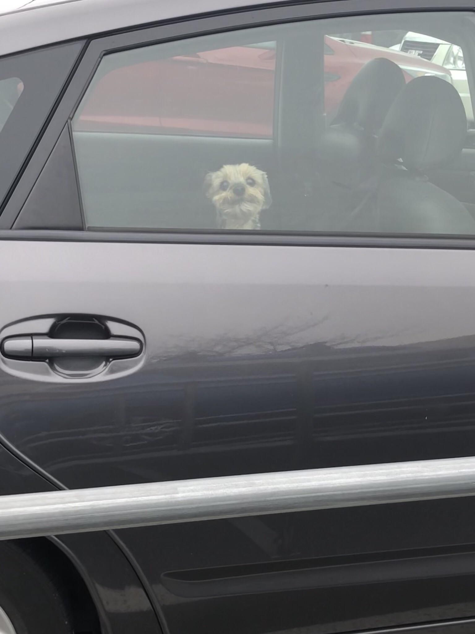 Getting out of my car today and this little gremlin is lookin back at me!