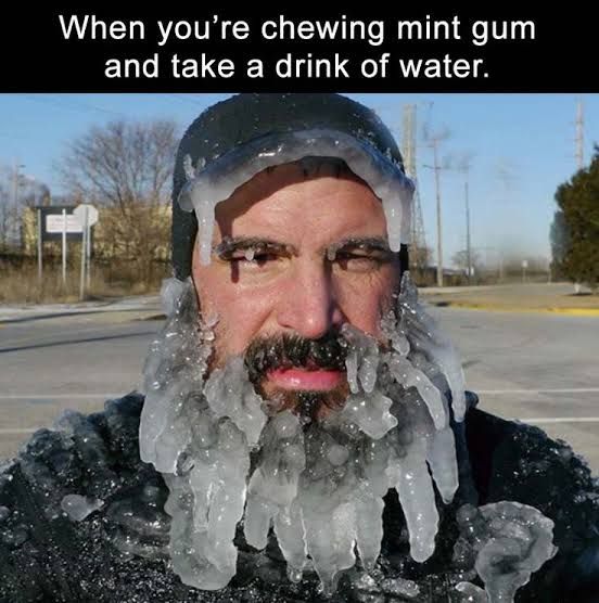 winter is coming with mint gum together