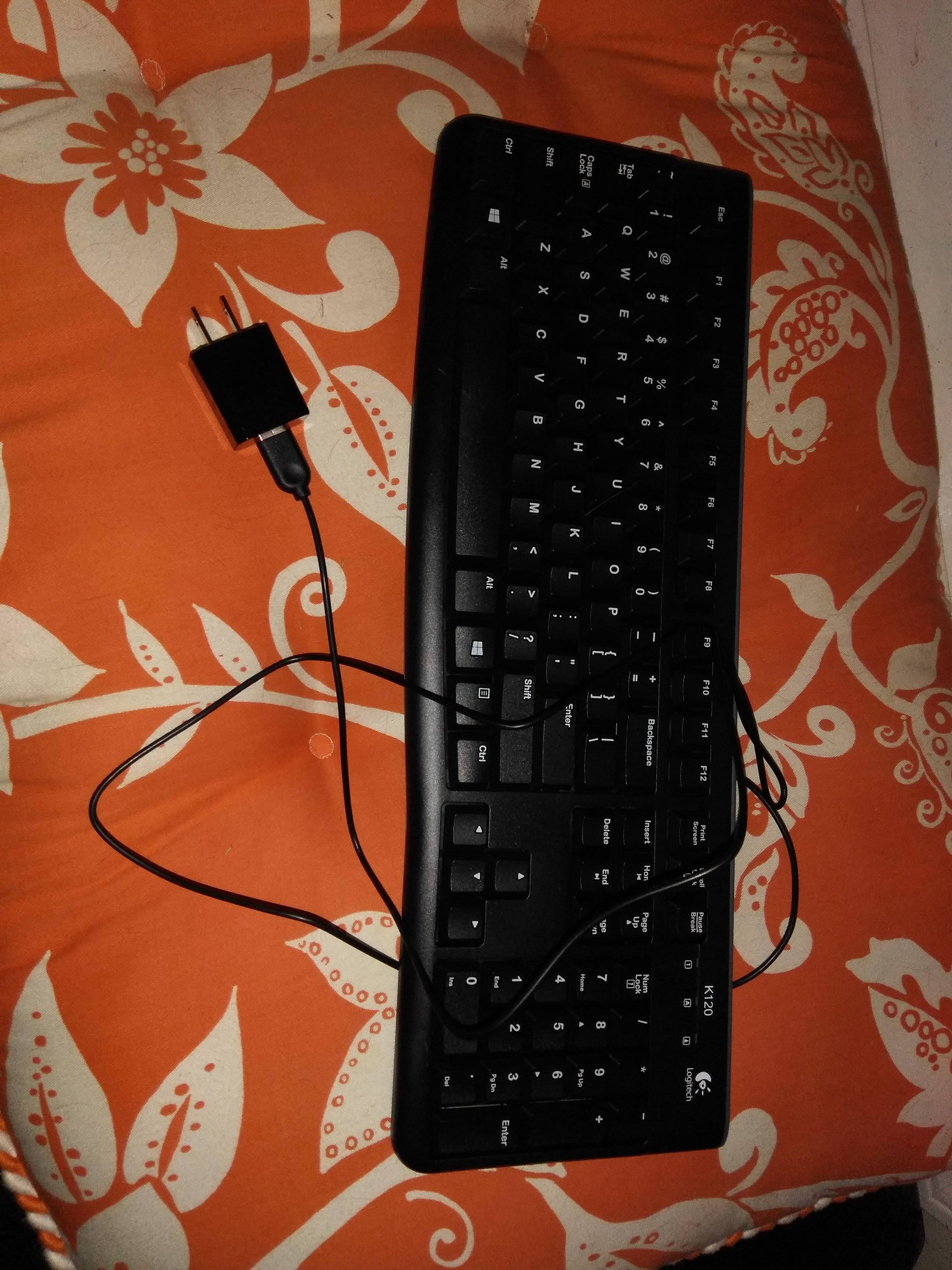 My grandmother was having problems with her new wired keyboard. She brought it with her when she visited. This is what I found.