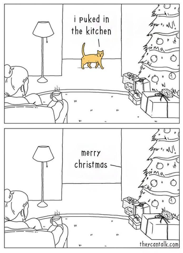 Cats are the best gift givers...