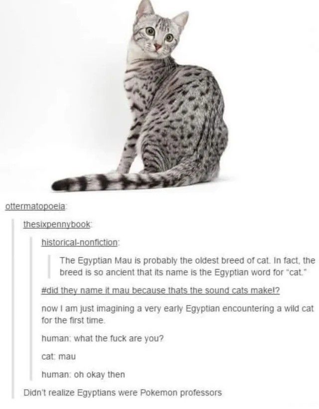 Mau