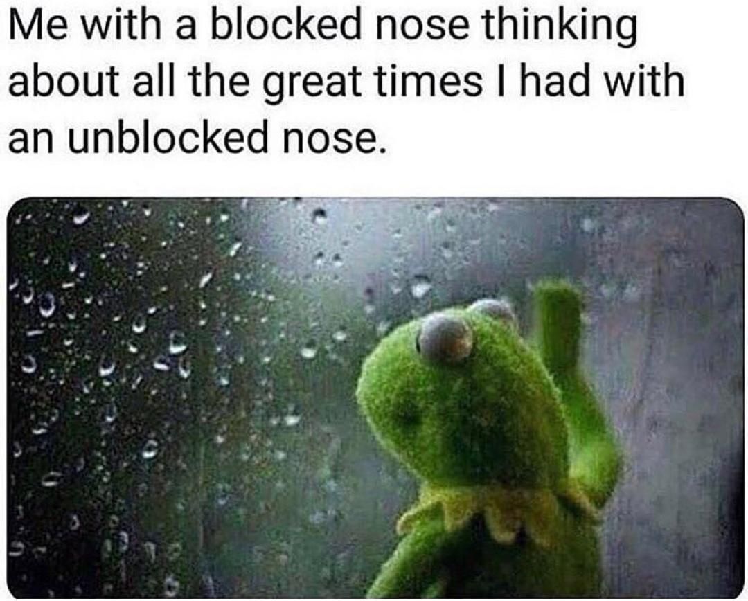 When my nose is blocked all you would be hearing was a damn loud trumpet out of my nose.