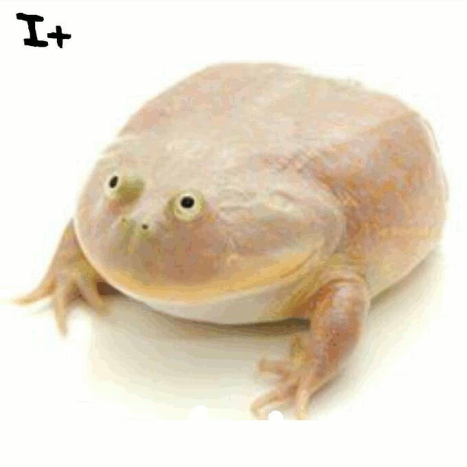 It really do be like that my dudes