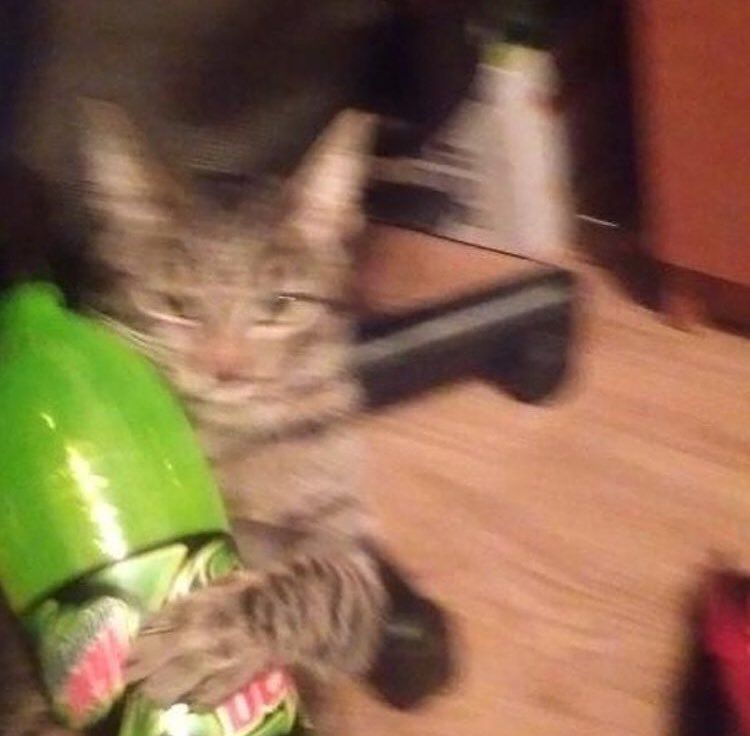 Gotta go now, gamer time