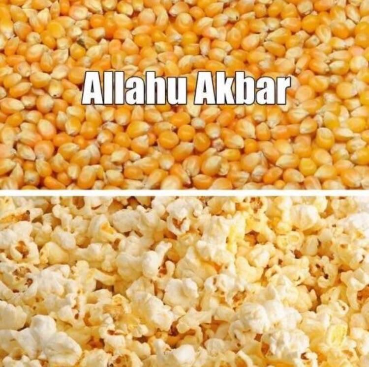 Corn ISIS