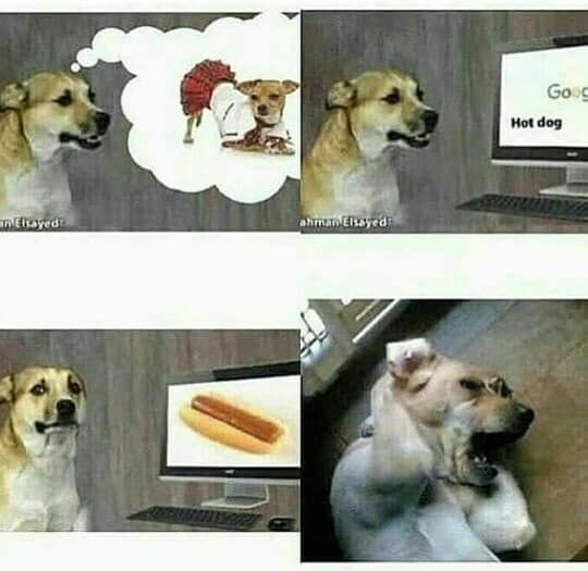 I can feel the dog's pain