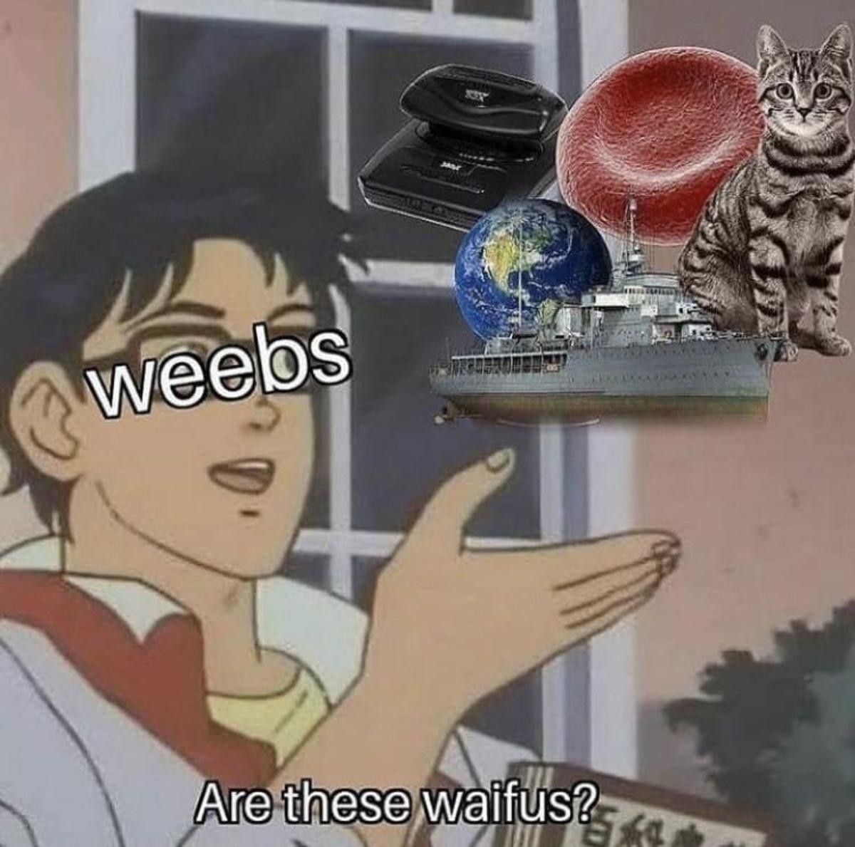 No weebs, those are not waifus