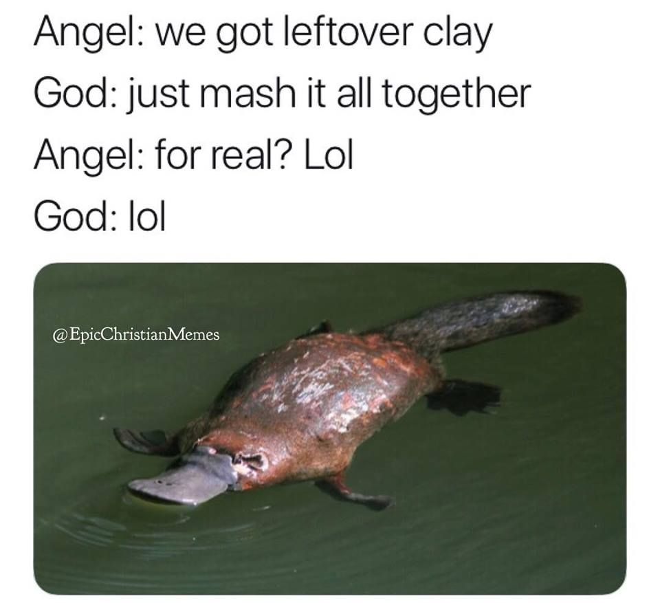 Leftovers