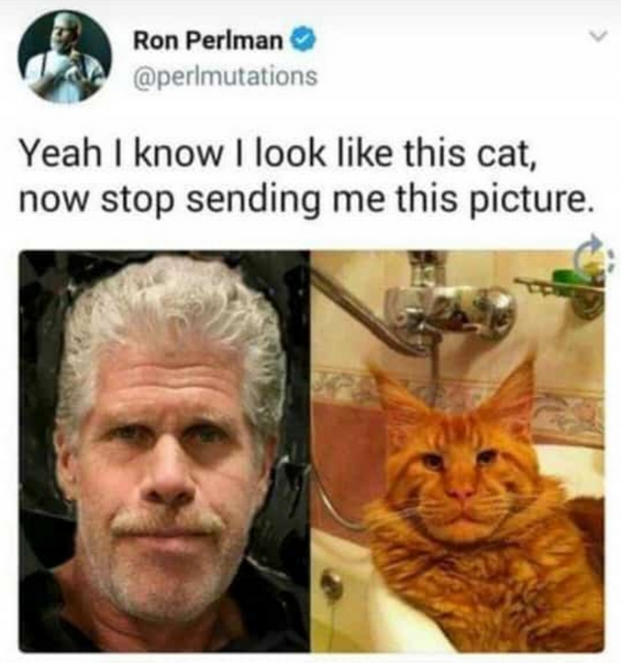 Ron Perlman discovered to have high-quality fursuit