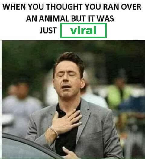 if only i'd ran over more