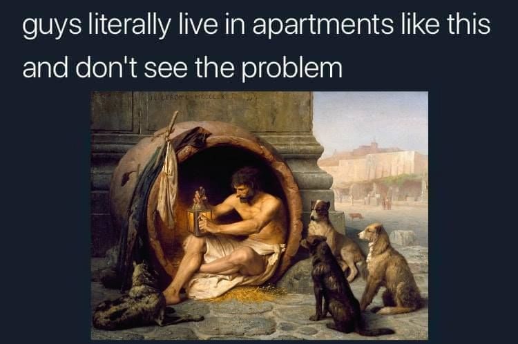 doggos allowed