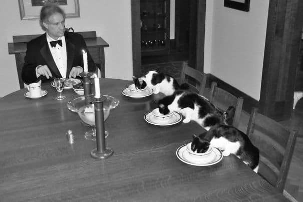 "It became boring when my wife went on a business trip. So I arranged a dinner for myself and our cats."