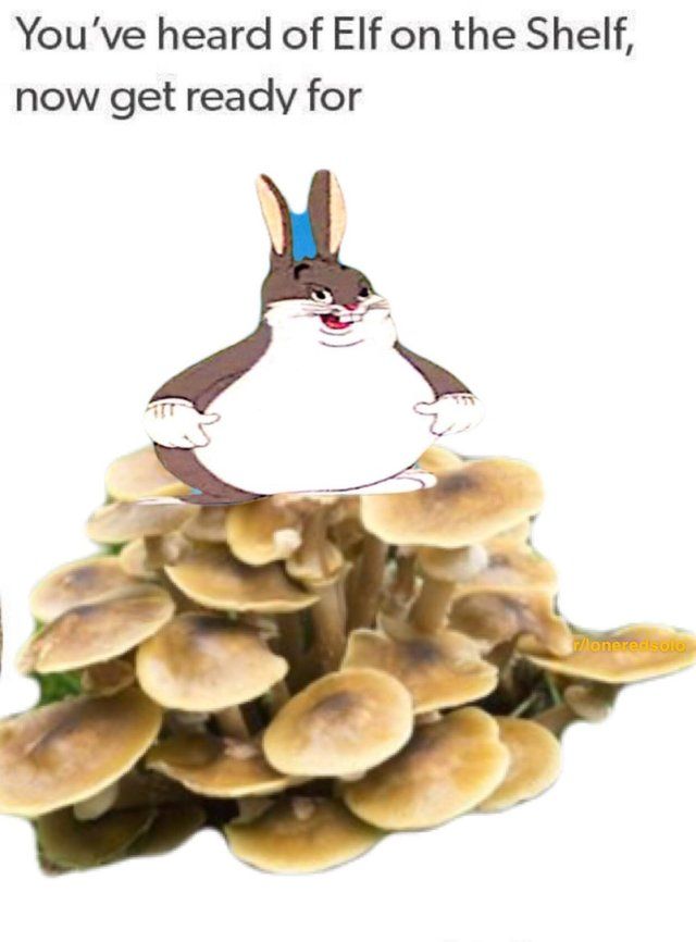 big boi