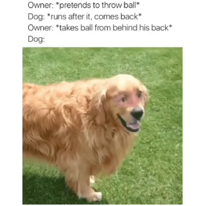 wow ok