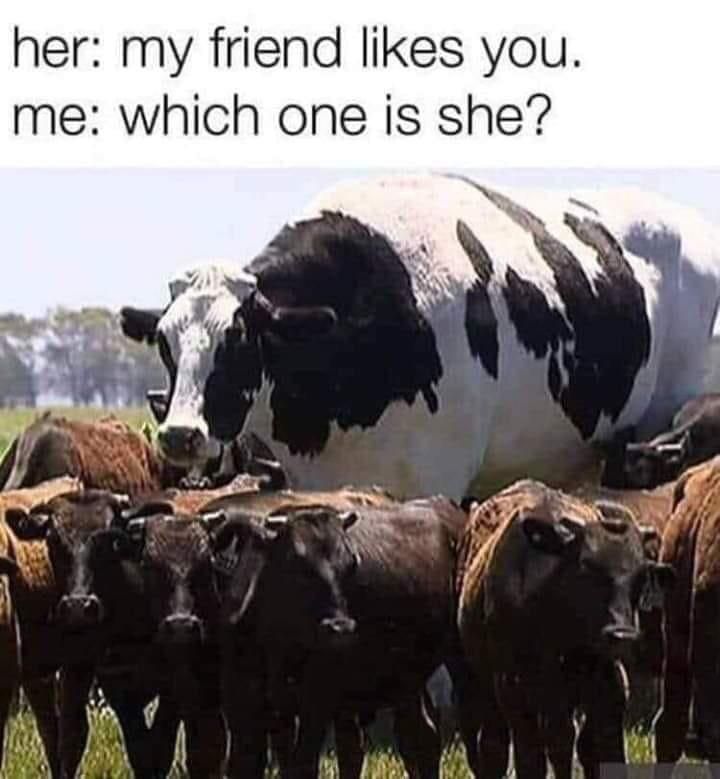 My friend likes you...