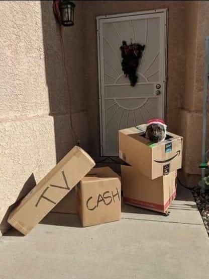 Undercover officer combats porch pirates