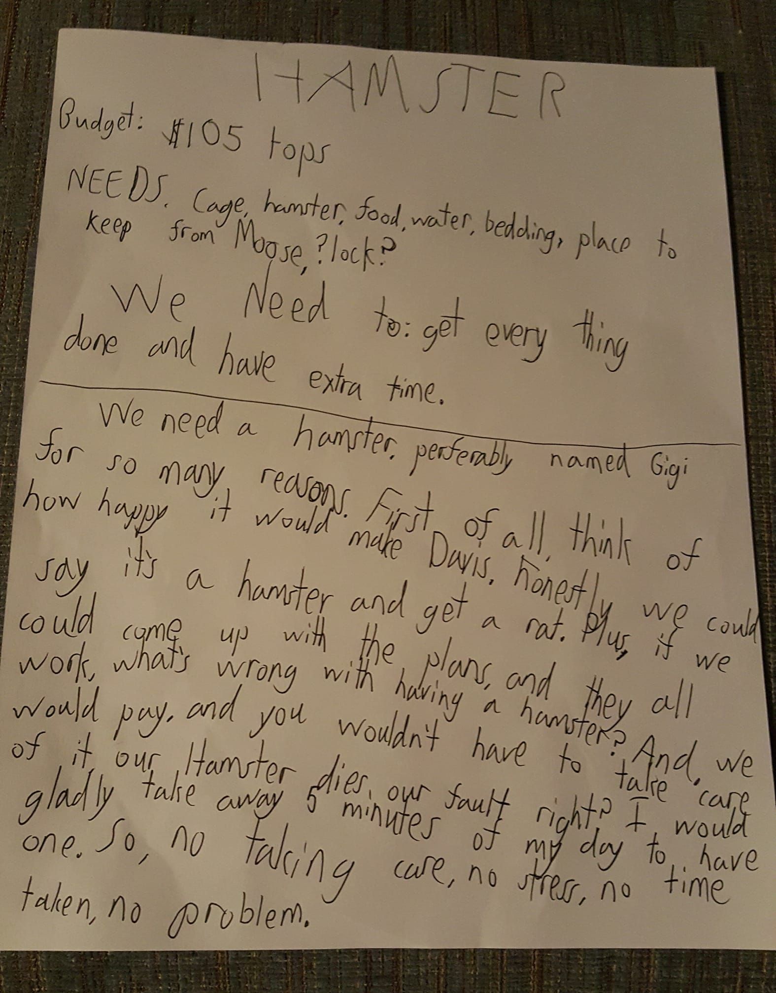 We told our 9yo son he had to justify why we should get a hamster. Here is his proposal.