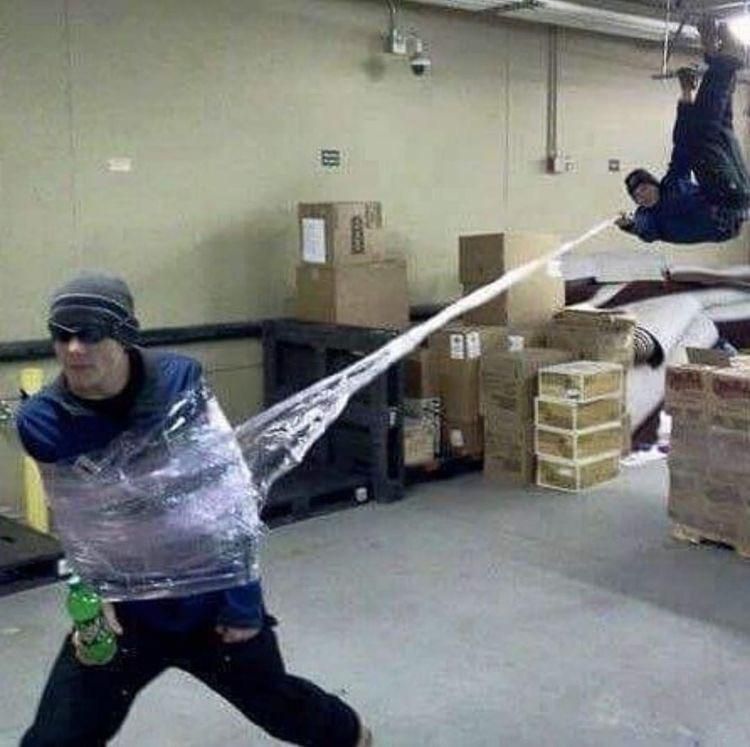 HALT, you violated the law
