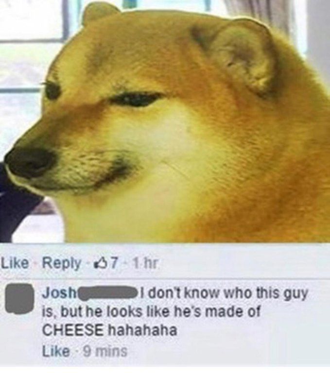 hehe boool